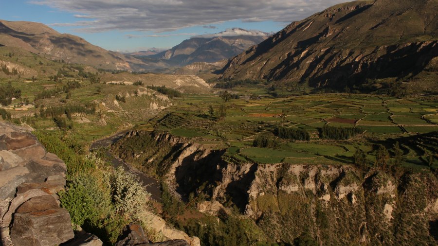 colca6