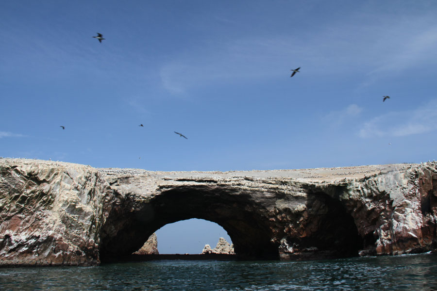 islas-ballestas-6