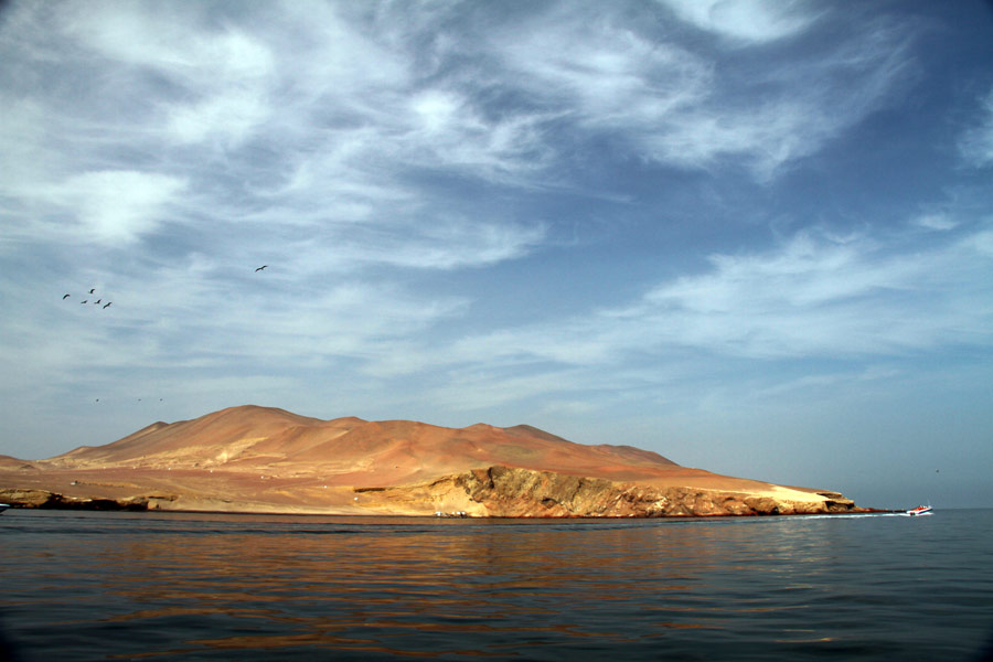 islas-ballestas-paracas-2