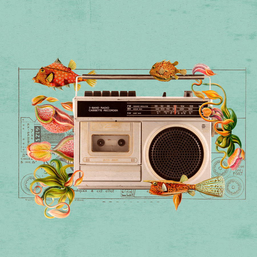 playlist ilustradores MEX