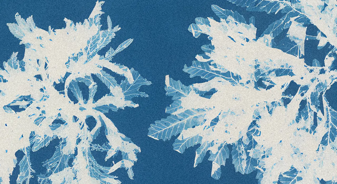 Cianotipo botánico de Anna Atkins