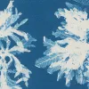 Cianotipo botánico de Anna Atkins