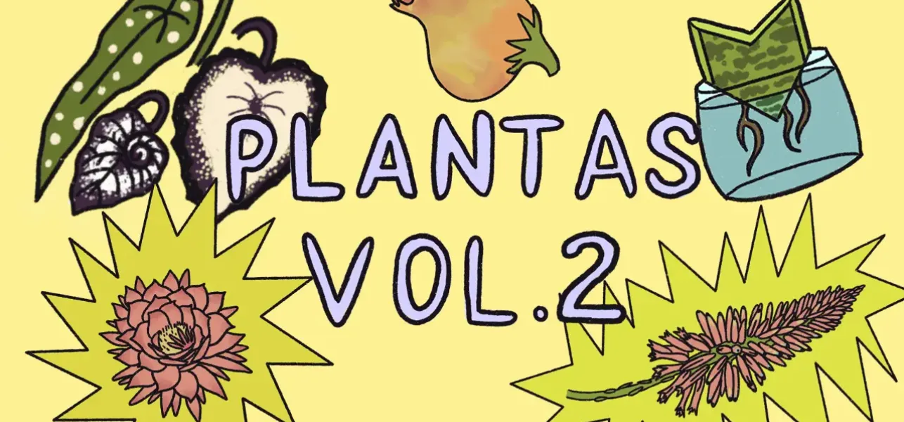 Plantas que tienes en casa y no conocías vol.2