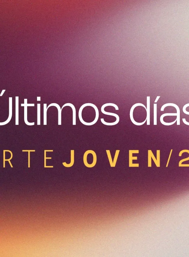 BASES DEL PREMIO ARTE JOVEN 2024