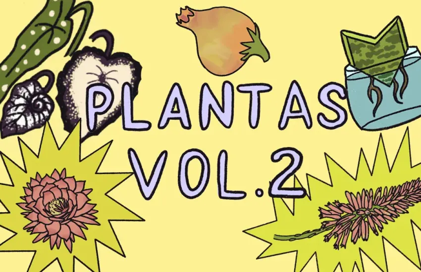 Plantas que tienes en casa y no conocías vol.2
