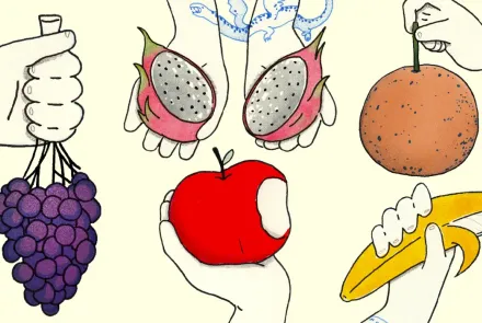 Frutas hermosamente diseñadas