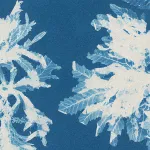 Cianotipo botánico de Anna Atkins