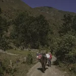 biodiversidad