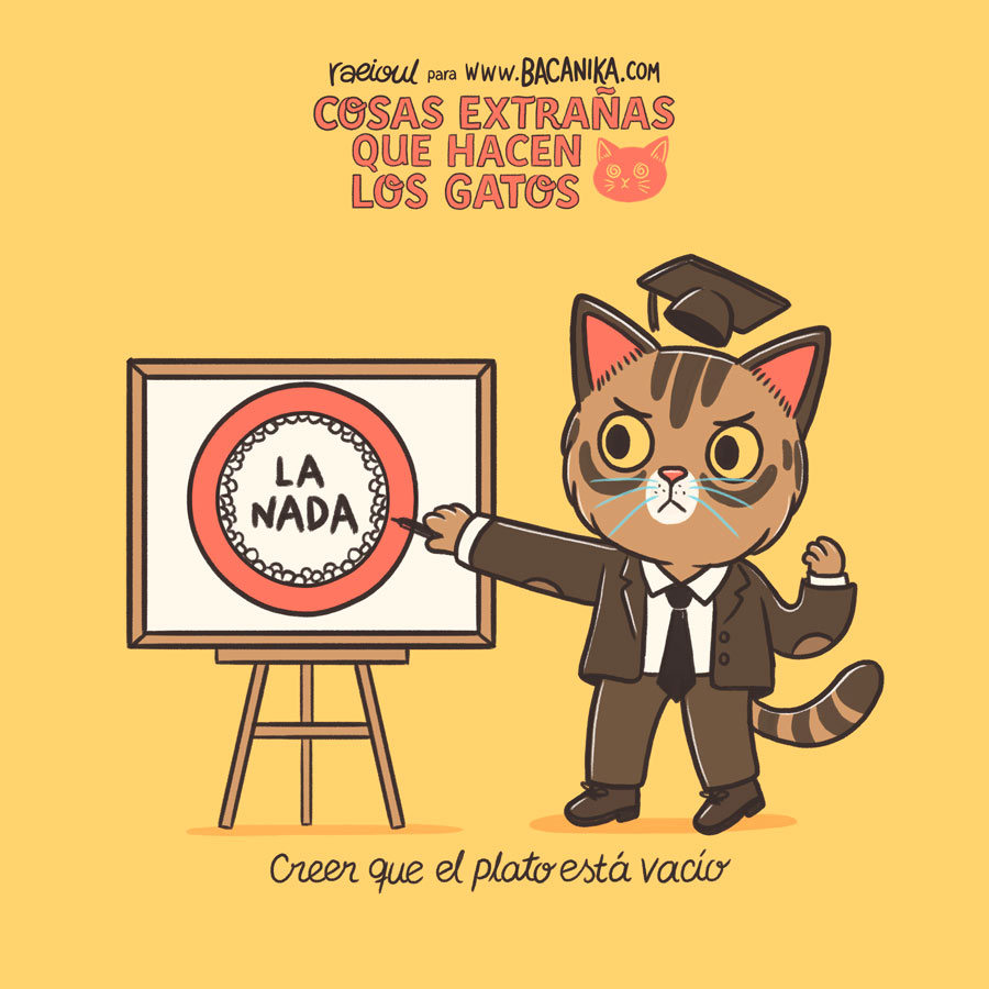 BCNK Artículo Cosas extrañas que hacen los gatos 01