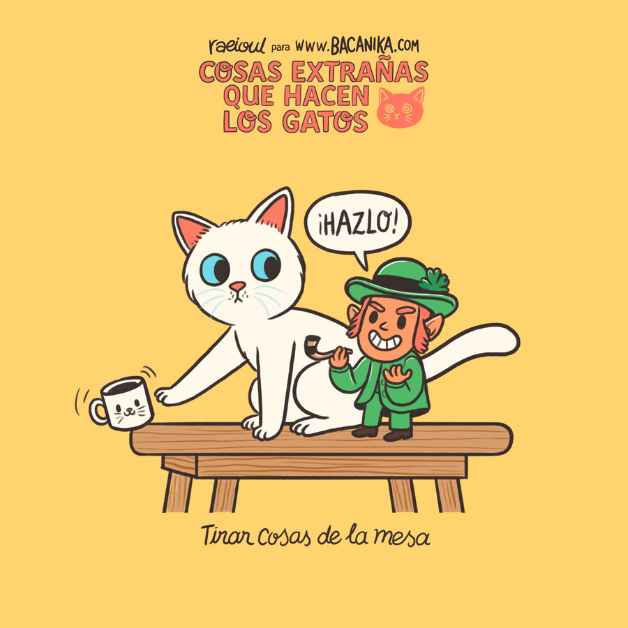 BCNK Artículo Cosas extrañas que hacen los gatos 01