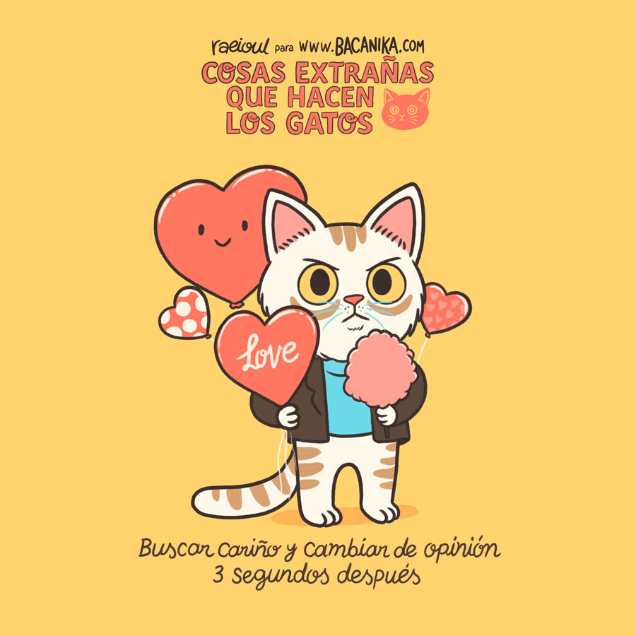 BCNK Artículo Cosas extrañas que hacen los gatos 01