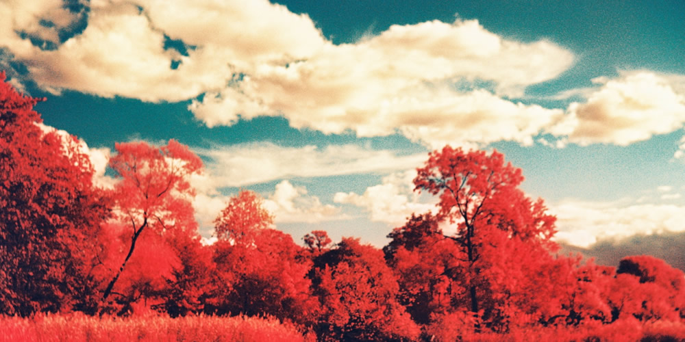 Clouds In The Window. Taken with a Smena 8M camera loaded with Kodak Elite Chrome EBX film 100 iso cross processed in C41 chemicals