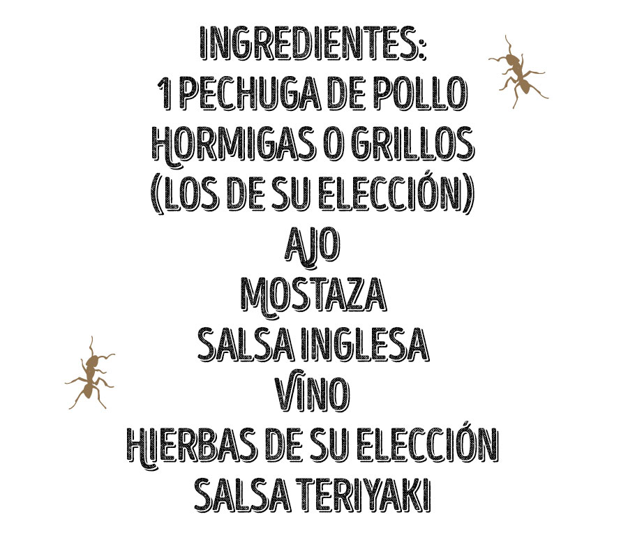 ingredientes insectos