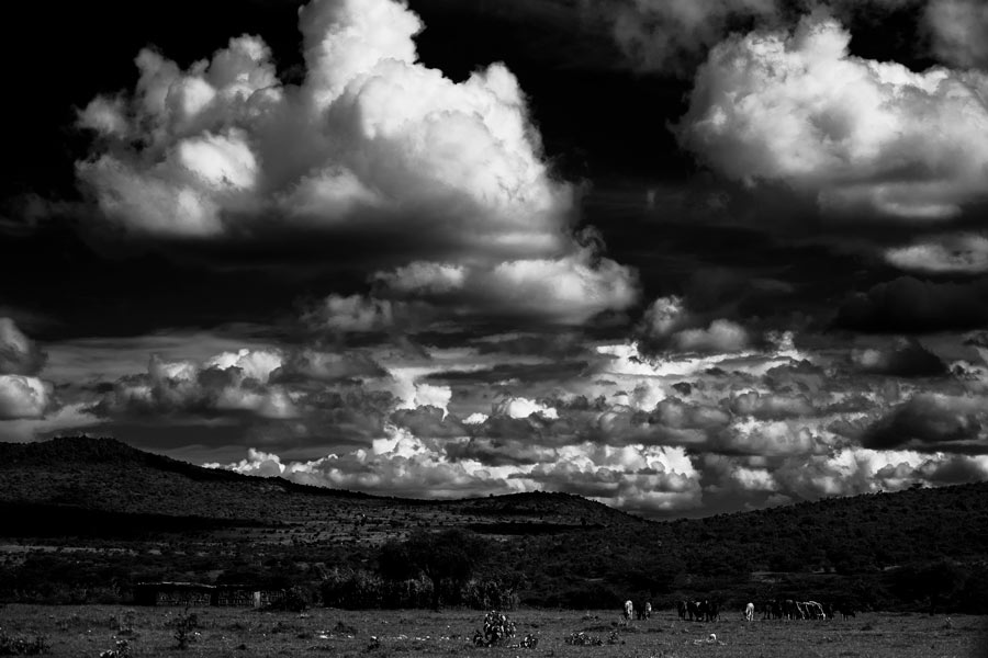 Maasai-Mara-National-Reserve-2