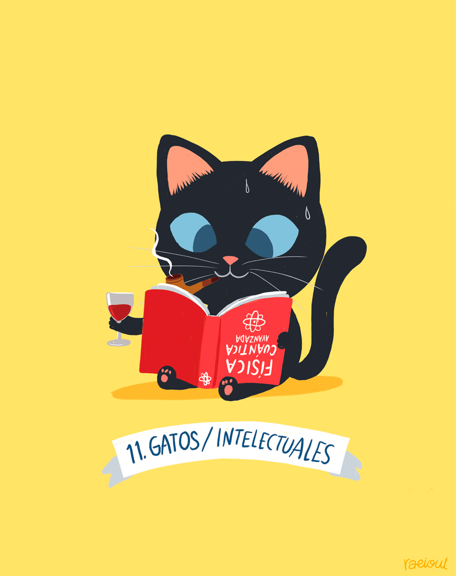 11-gato-intelectual-b