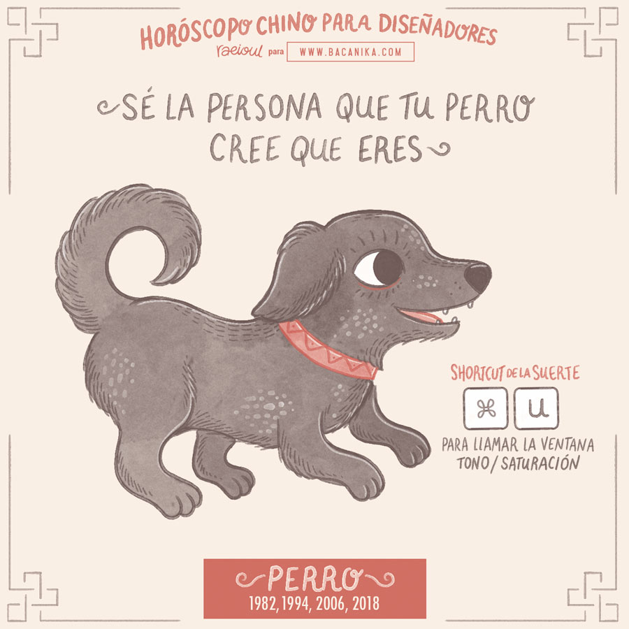 2 PERRO