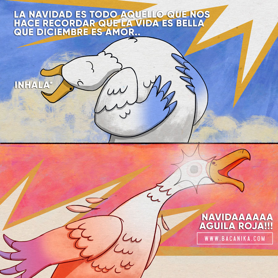 7 gaviota