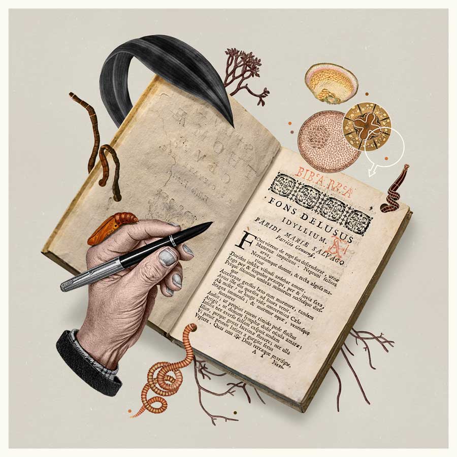 Ilustracion 5