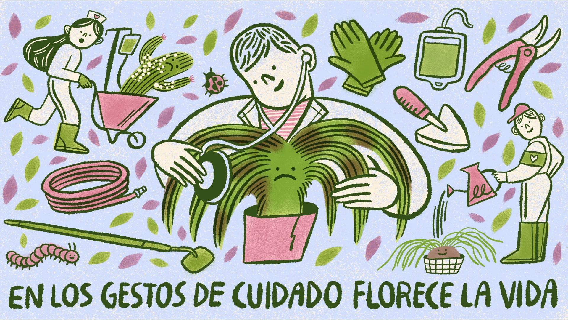 Recomendaciones para cuidar una planta