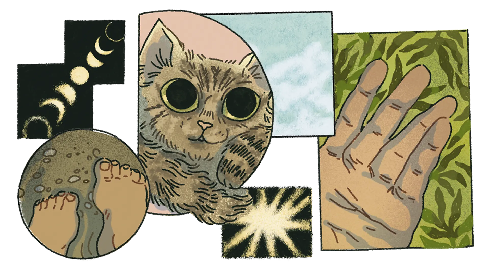 miopía y astigmatismo