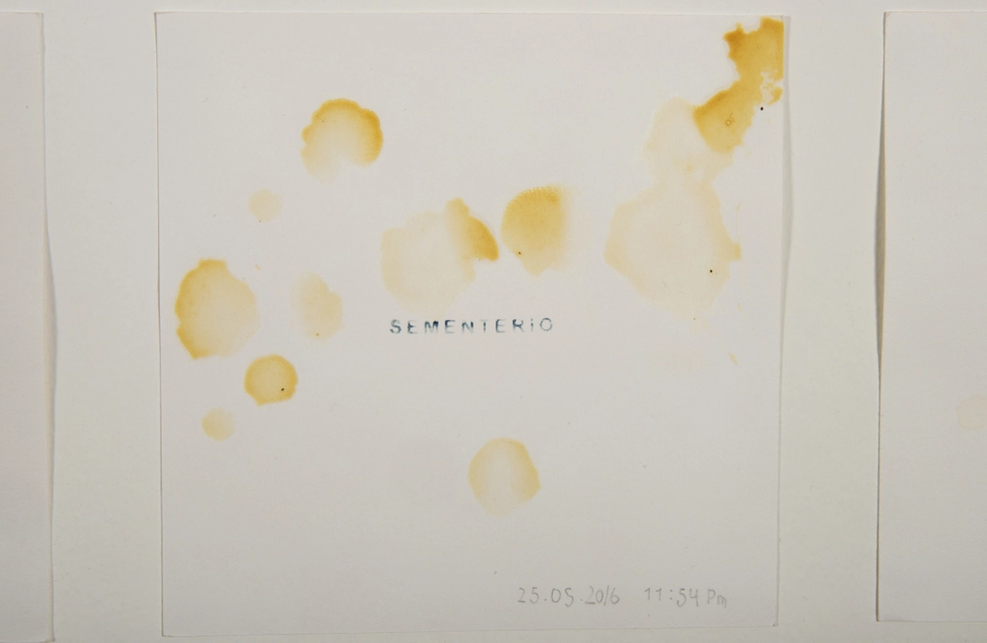 performance colombiano