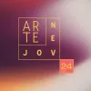 BASES DEL PREMIO ARTE JOVEN 2024