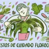 Recomendaciones para cuidar una planta