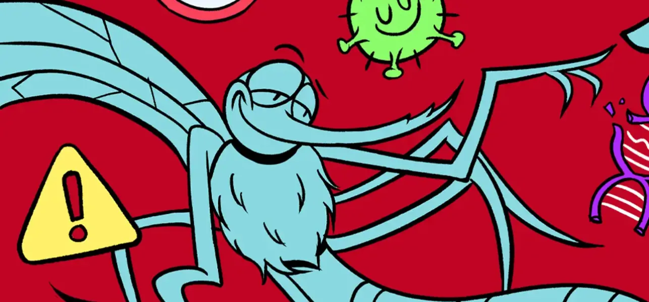 Errores de diseño de la creación