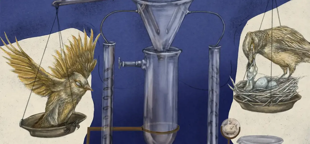 ¿Qué le pasa a nuestro cuerpo cuando decidimos no tener hijos?