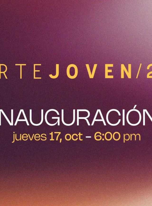 Premio Arte Joven 2024