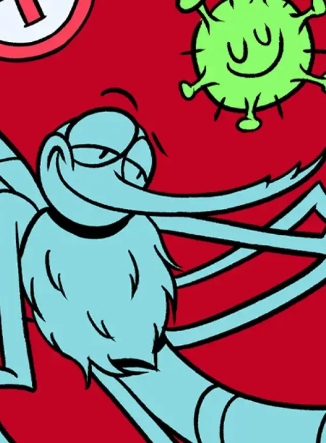 Errores de diseño
