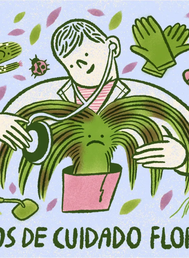 Recomendaciones para cuidar una planta