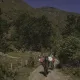biodiversidad