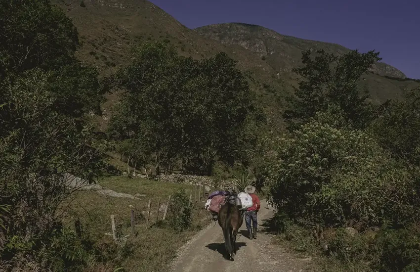 Agua bajo tierra: jóvenes sembradores del páramo