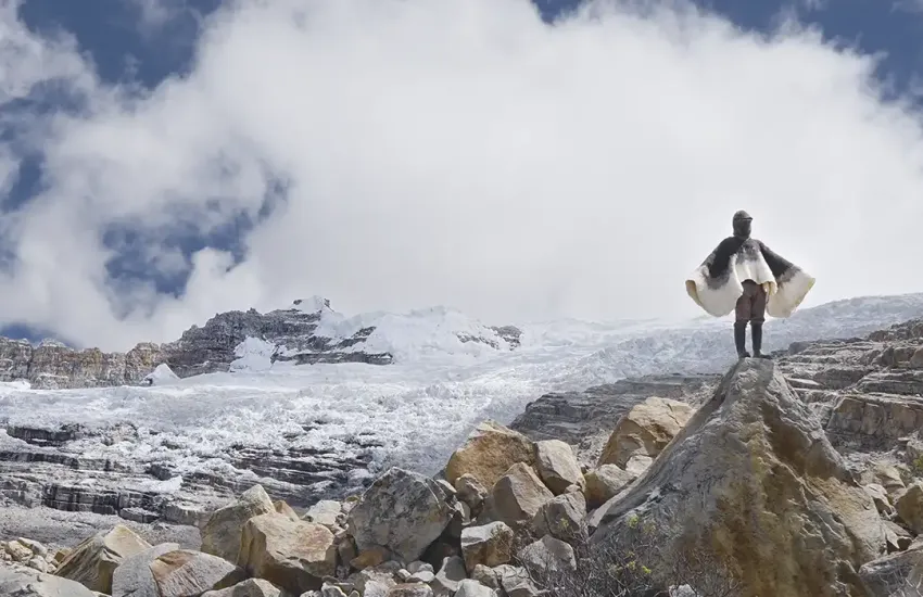 Programación ARTBO | Salas