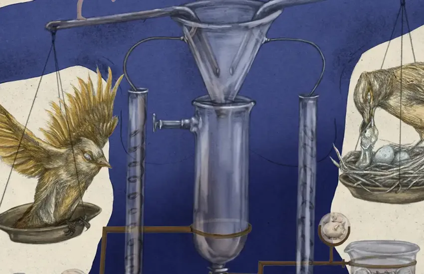 ¿Qué le pasa a nuestro cuerpo cuando decidimos no tener hijos?