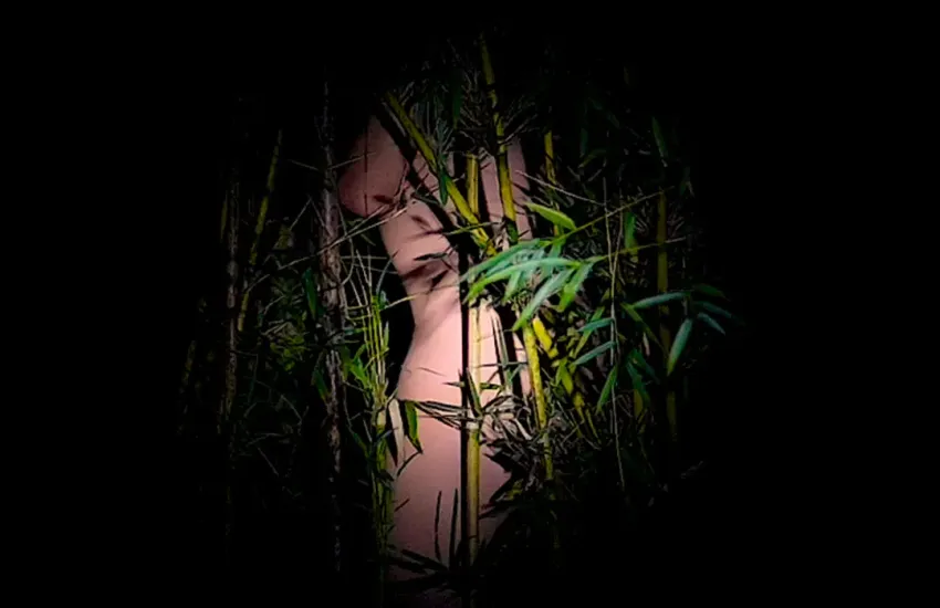 Obra visual de artista LGBTQ+ de América Latina