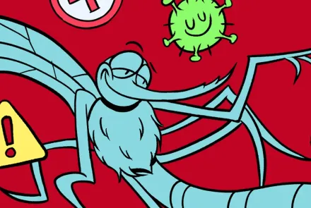 Errores de diseño