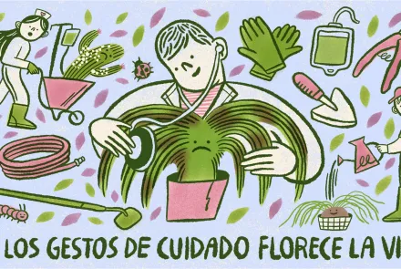 Recomendaciones para cuidar una planta